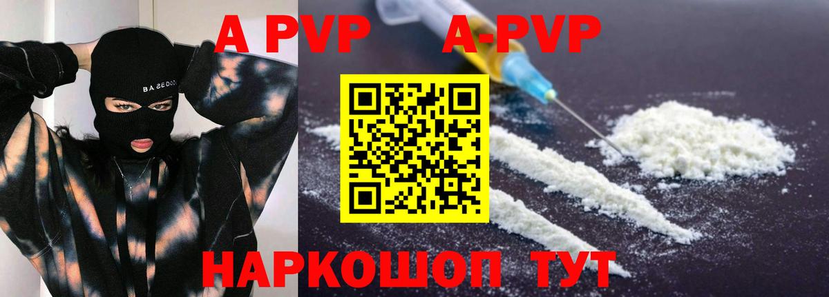 A PVP СК КРИС Нововоронеж