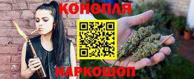 гашик Донской