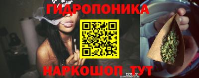 гашик Донской