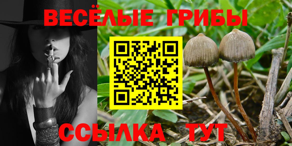 Псилоцибиновые грибы Psilocybine cubensis  купить   Нововоронеж  Вход с VPN 